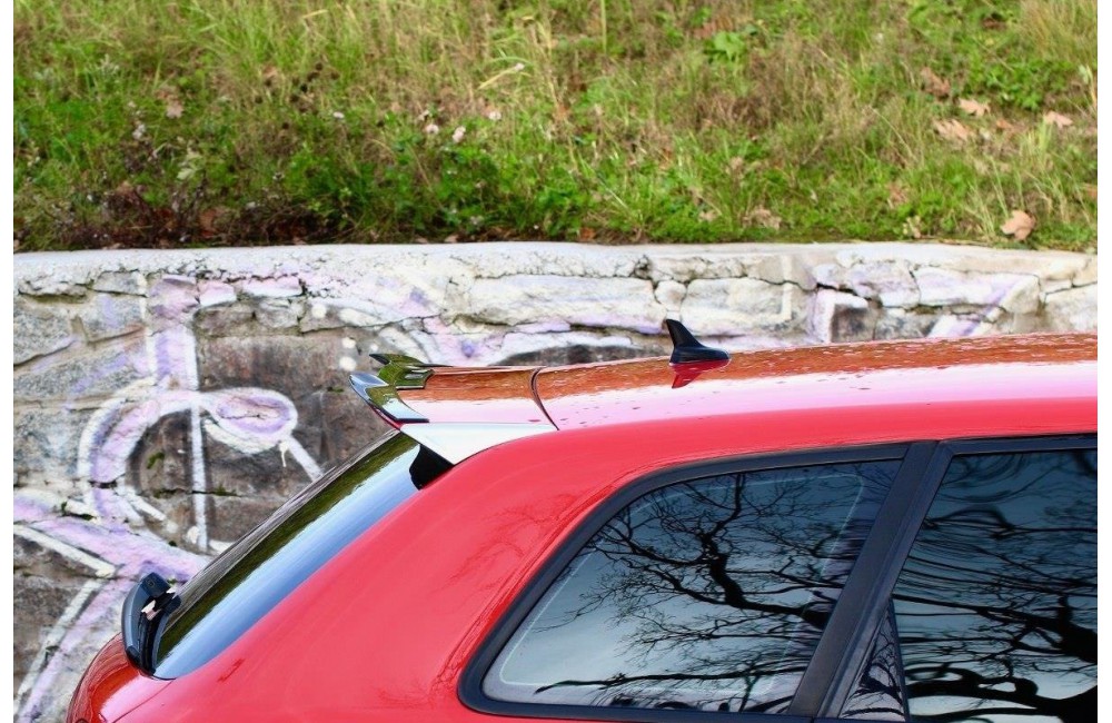SPOILER CAP Audi RS3 8P