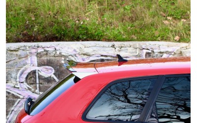 SPOILER CAP Audi RS3 8P