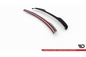Spoiler Cap Audi RS6 Avant C6