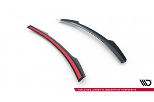 Spoiler Cap Audi TT 8J