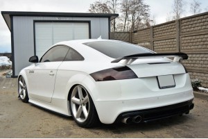 Rear Splitter Audi TT S 8J (with a vertical bar)
