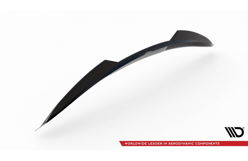 Spoiler Cap 3D BMW Z4 M-Pack E89