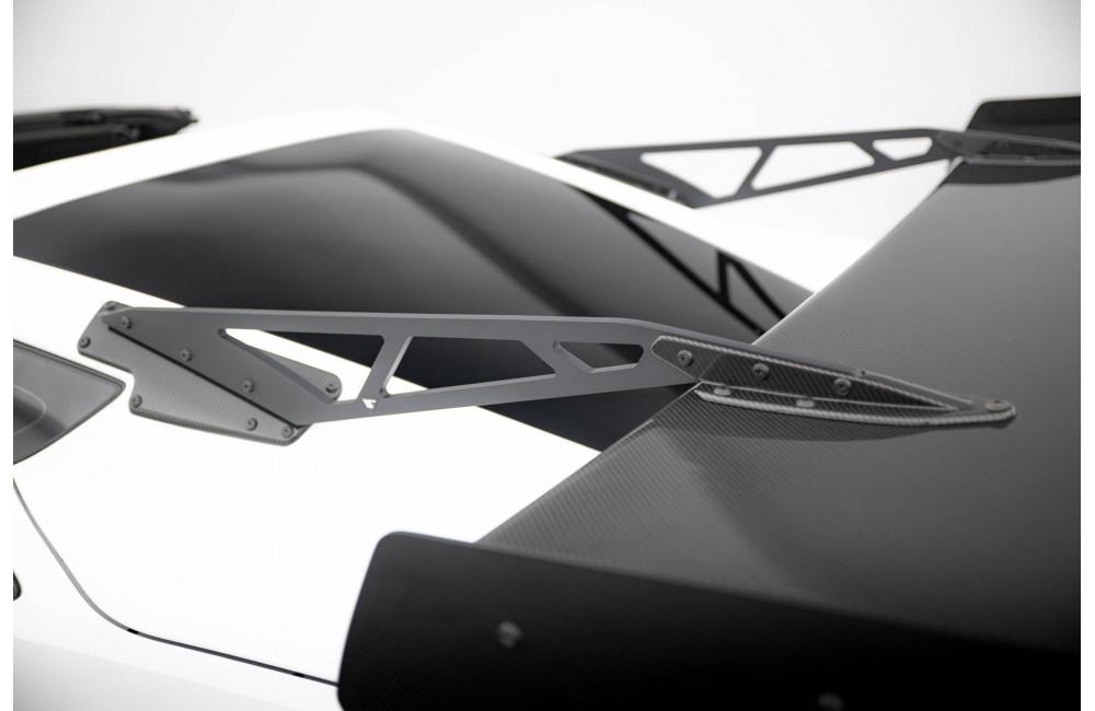 Carbon Spoiler With Upper Swan Mounting Chevrolet Corvette Stingray / Grand Sport C7 Carbon Spoiler With Upper Swan Mounting Chevrolet Corvette Stingray / Grand Sport C7