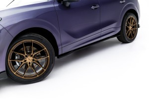Side Skirts Diffusers Cupra Terramar Mk1