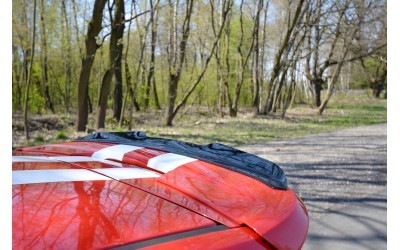 Spoiler Cap V.1 Ford Fiesta ST Mk6