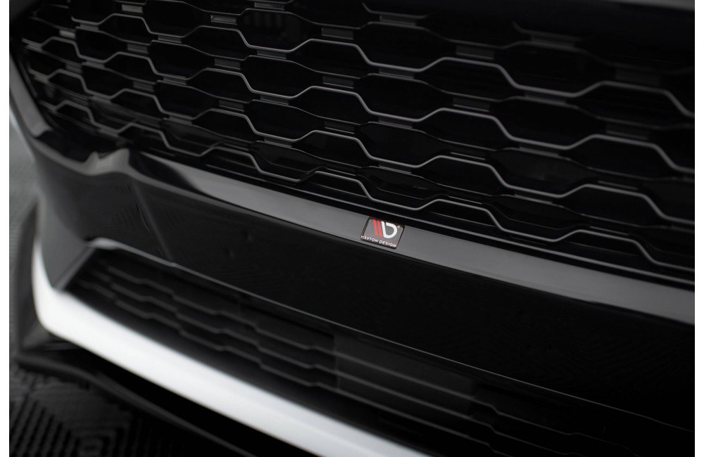 Front Grill Ford Fiesta ST / ST-Line Mk8 Front Grill Ford Fiesta ST / ST-Line Mk8