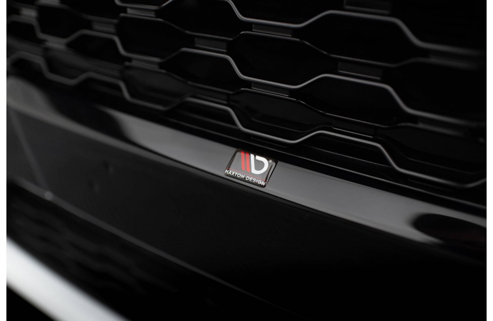 Front Grill Ford Fiesta ST / ST-Line Mk8 Front Grill Ford Fiesta ST / ST-Line Mk8