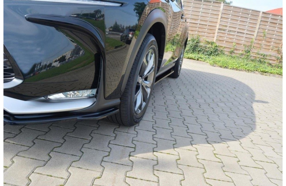Frames for lights Lexus NX Mk1