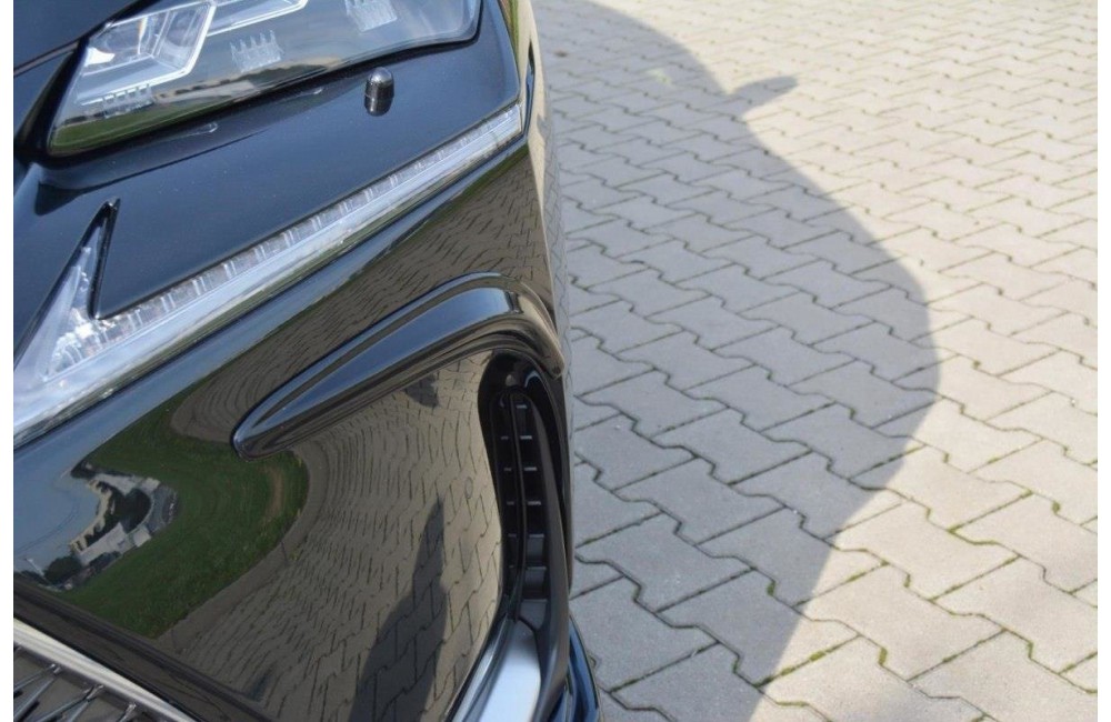 Frames for lights Lexus NX Mk1