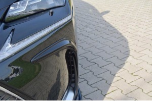 Frames for lights Lexus NX Mk1