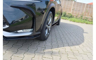 Frames for lights Lexus NX Mk1