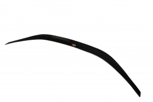 SPOILER CAP Lexus RC F
