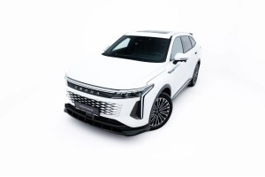 Front Splitter Omoda 9 Mk1