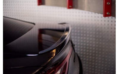 Spoiler Cap Renault Talisman