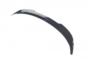 Spoiler Cap SUZUKI SWIFT 6 SPORT