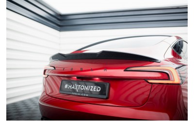 Spoiler Cap 3D Tesla Model 3 