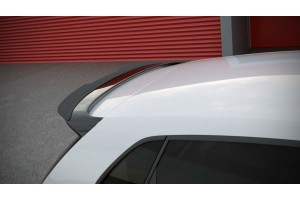 Spoiler Cap Volkswagen Polo Mk5 (R WRC Look) Spoiler Cap Volkswagen Polo Mk5 (R WRC Look)